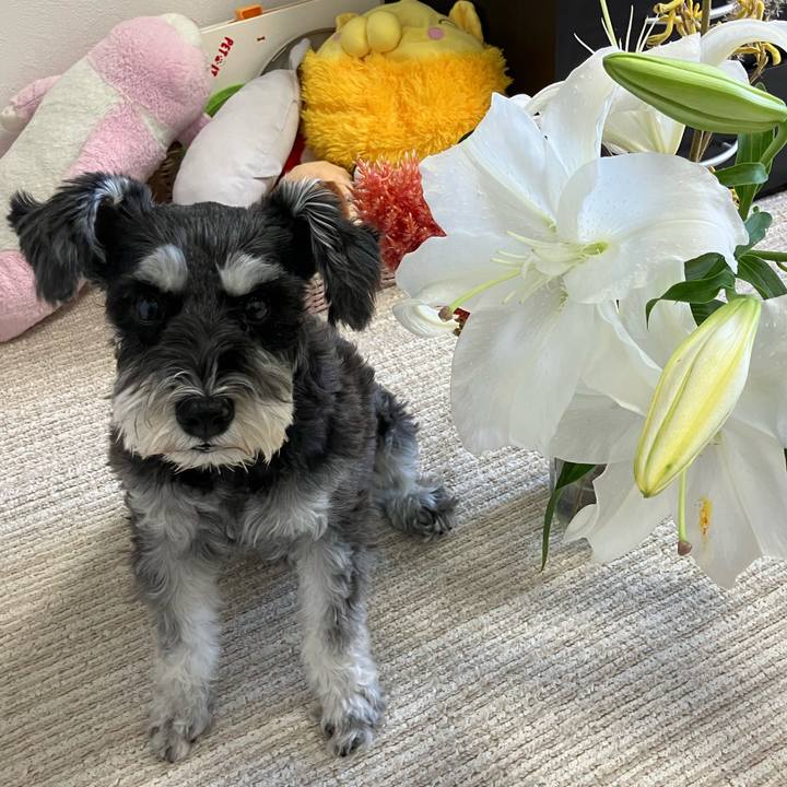 92b3e65c 8209 46e4 85eb 51c983b22192 1760484200323