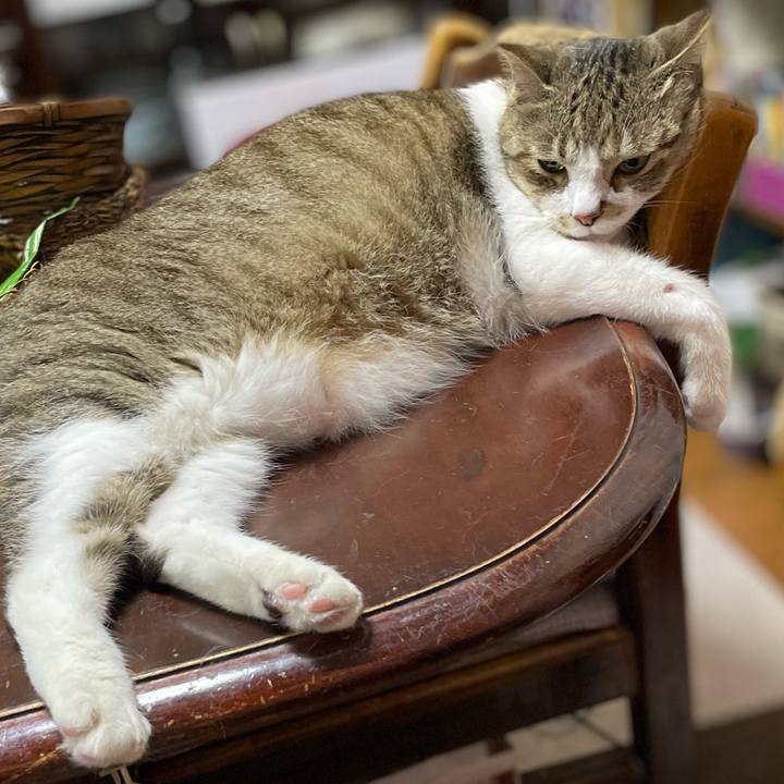 92b3fd15 d608 4024 b5ed d6d995b4833d 1660203401644