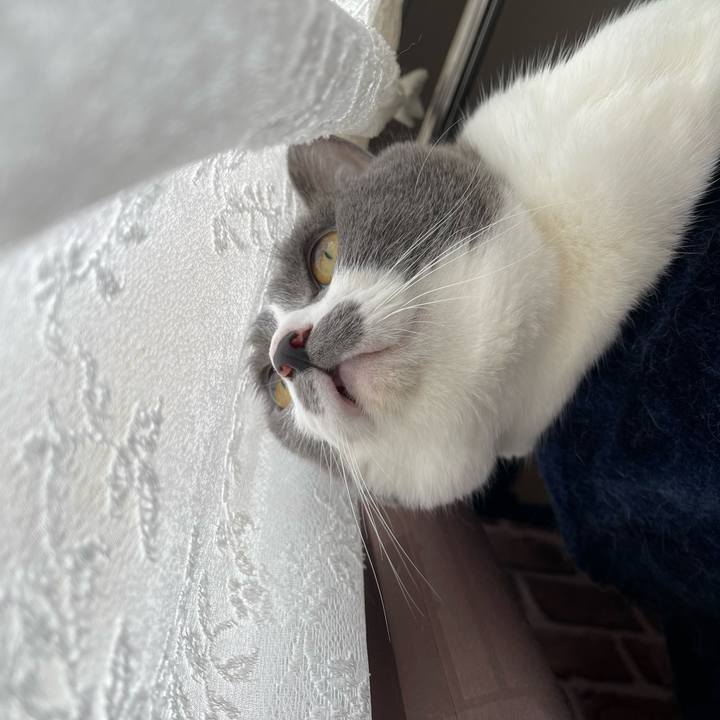 92b40435 2453 4d37 9cb2 8c8ba3e5759c 1658444842137