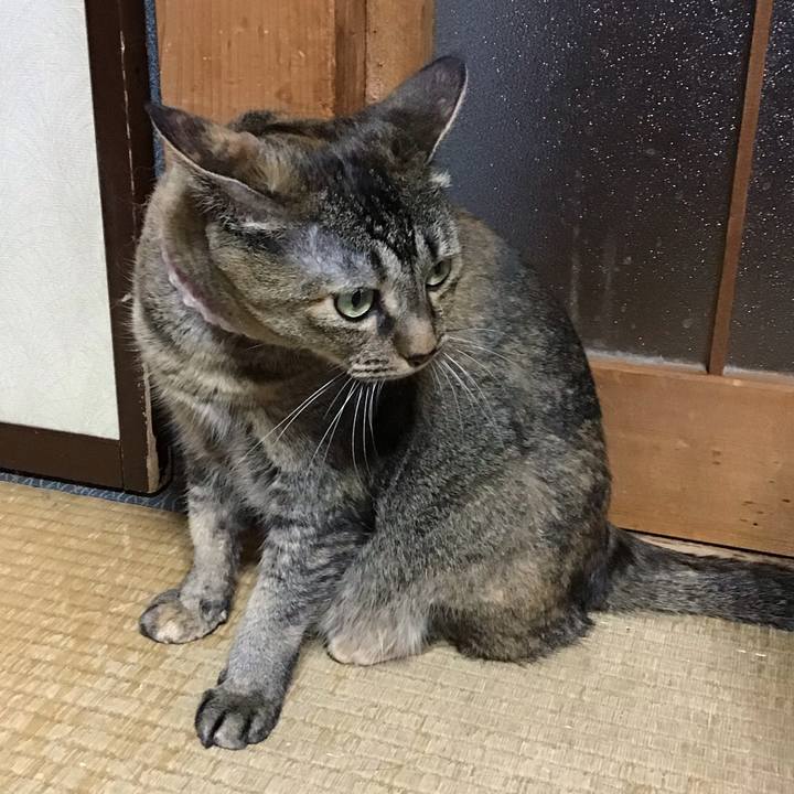 92b4092b e631 4df2 8e25 0dd5aba38ce1 1721905670551