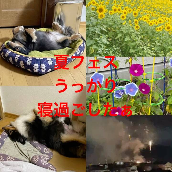 92b40d0c 9e7e 49c1 8e50 eecae6c5fbbe 1660431947198