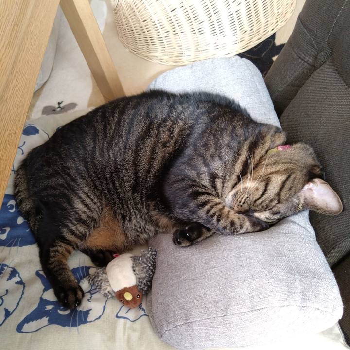 92b40d68 e973 4906 9933 def01e2883b0 1762910883521