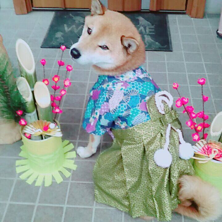 92b44a5d 8e7a 4738 8da5 efa0d3c7ee8c 1578450130038