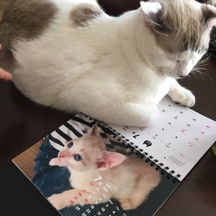 92b44e60 0f95 46ee b8c2 3953440aa9a9 1546140392498