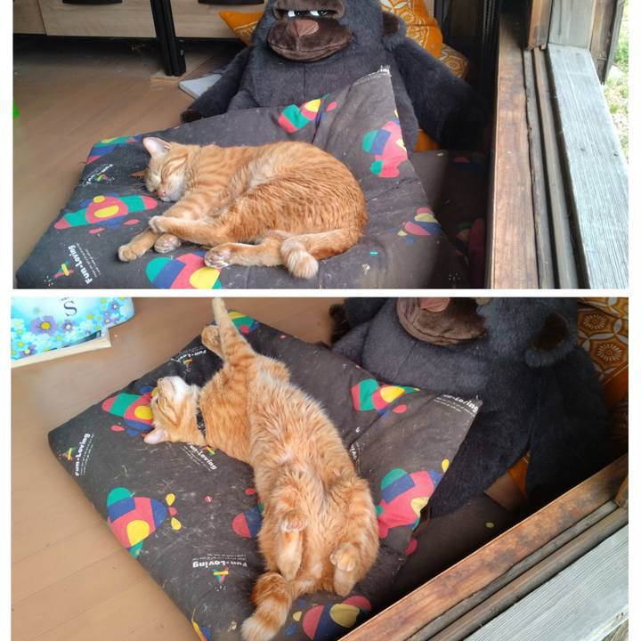 92b45106 5877 41bd b21e e6e4a8094602 1716110841728