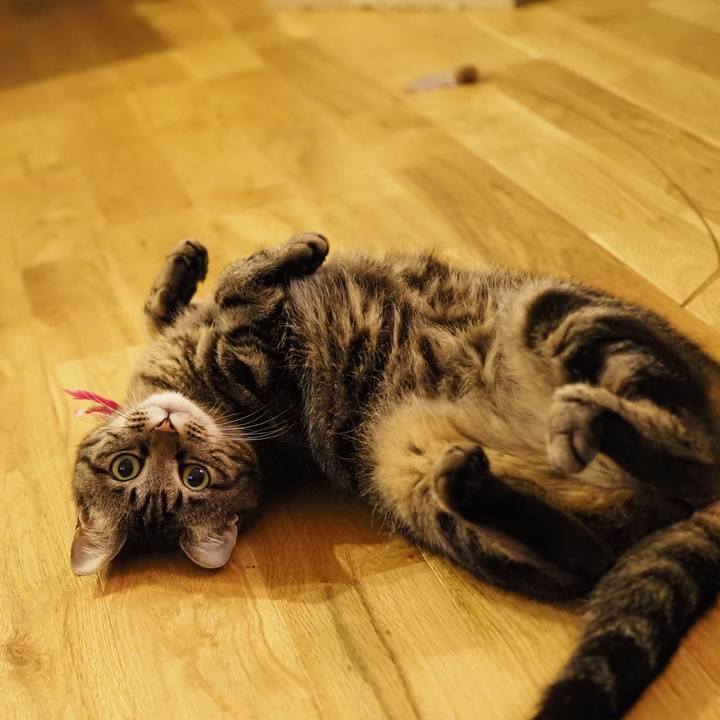 92b46b5b 27e1 4fb0 ae24 f02bc3656cde 1626348507431