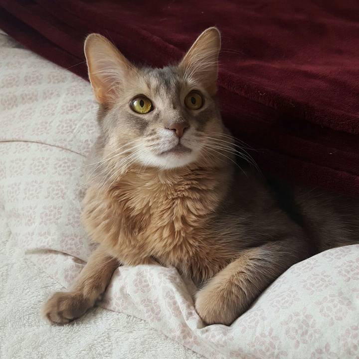 92b48919 1bce 499c a830 7c208e071413 1552177837279