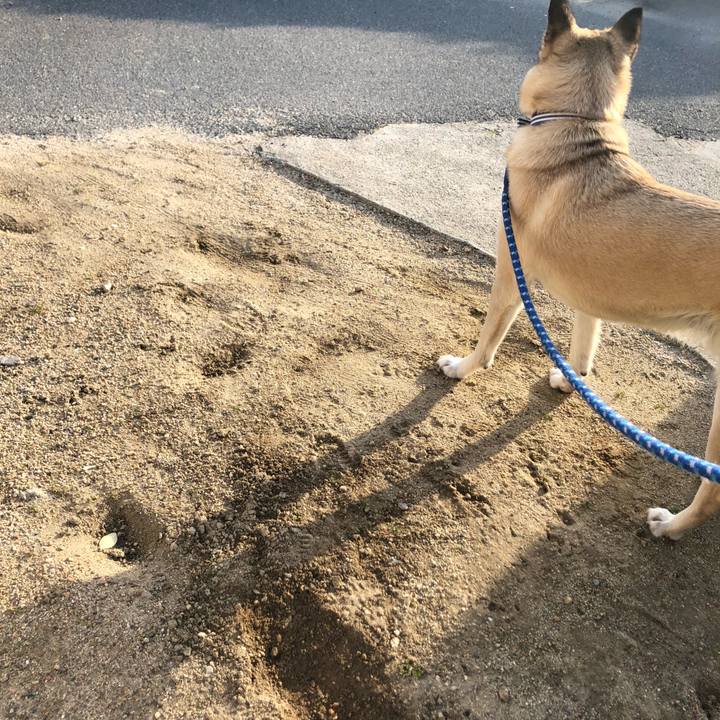 92b4a542 13b7 422c 9007 13e043bda500 1616760596986