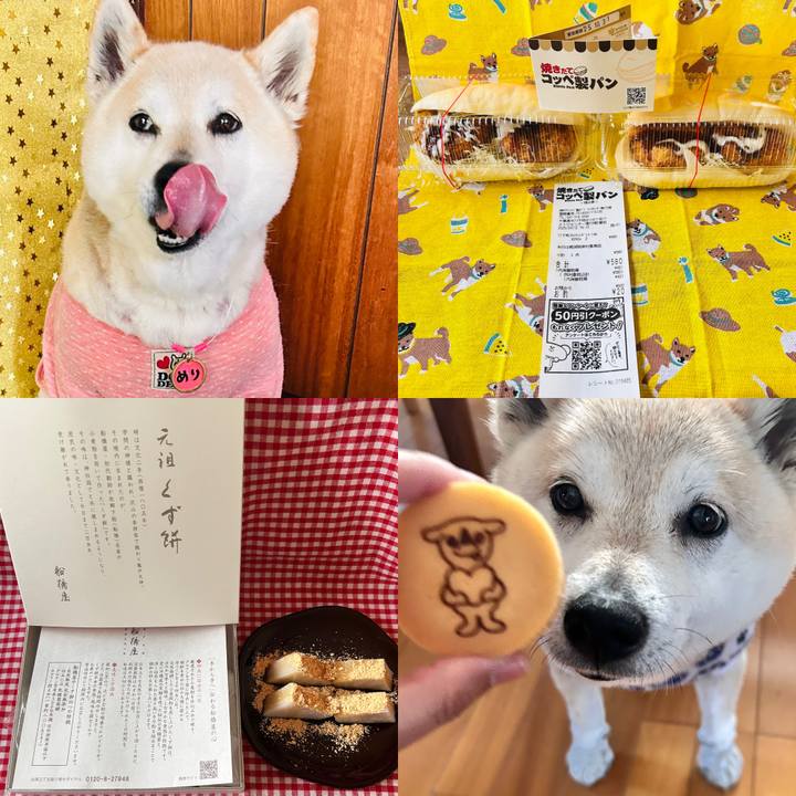 92b4c939 632c 4c3c 95b3 00325f54051d 1744445737767