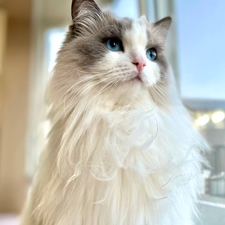 92b50c36 4c9d 4c6f b25b a6c97c5c4b14 1644572285560