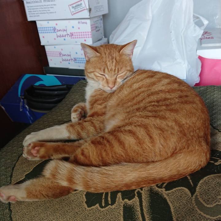 92b5581e 749b 4456 b4c8 3cf4aa9c4c2b 1572149750068