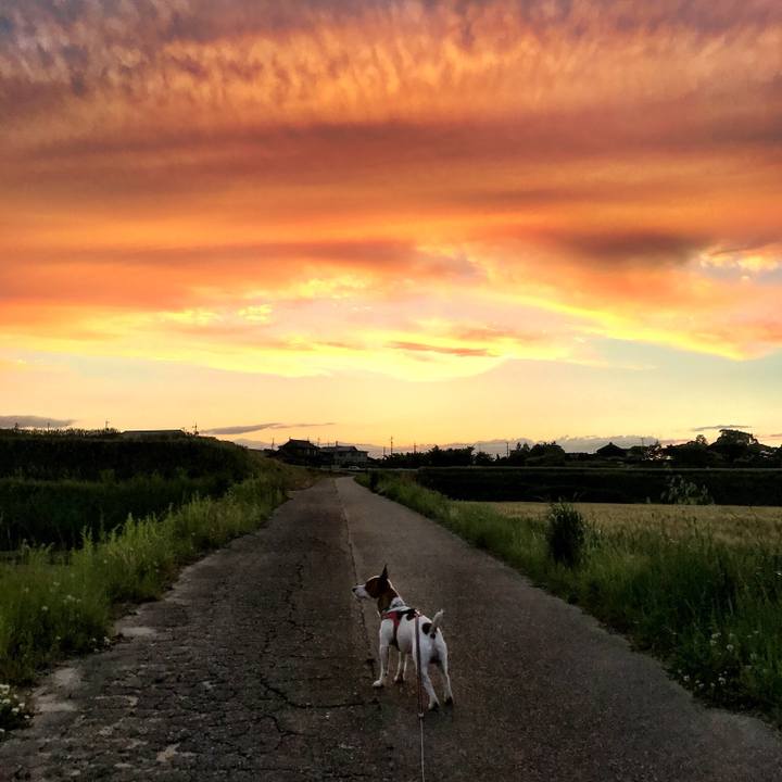 92b5ea58 7c12 432b 8e74 eb5e52eff884 1525344160230