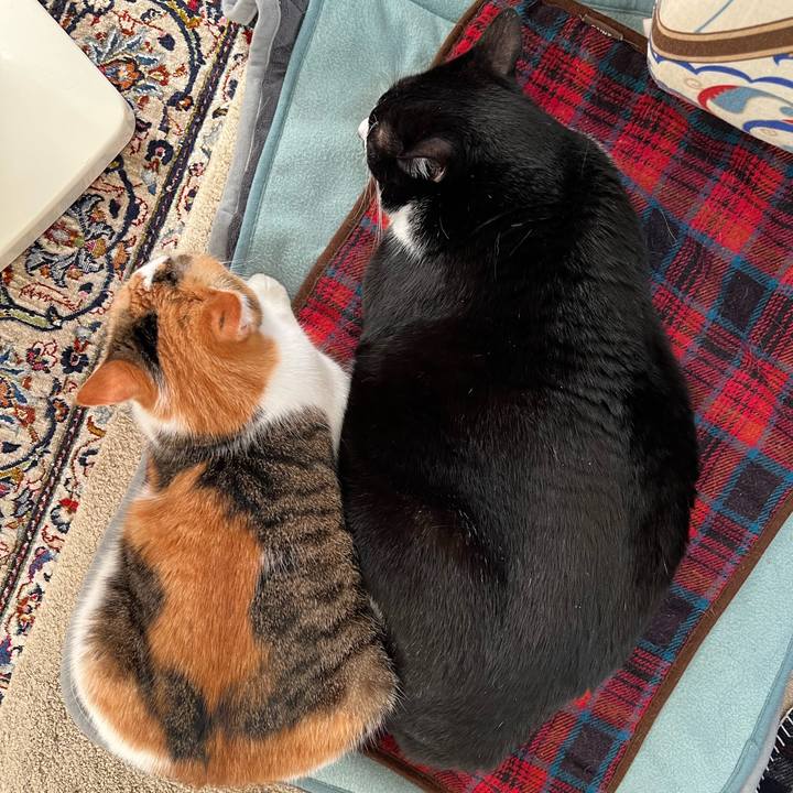 92b614f9 a2f5 4511 9a5f 8cd57fe8f430 1764801288096