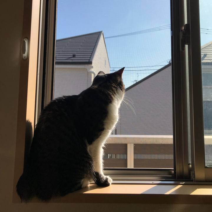 92b620fa 5095 43f0 8a91 189b479cc093 1572827956851