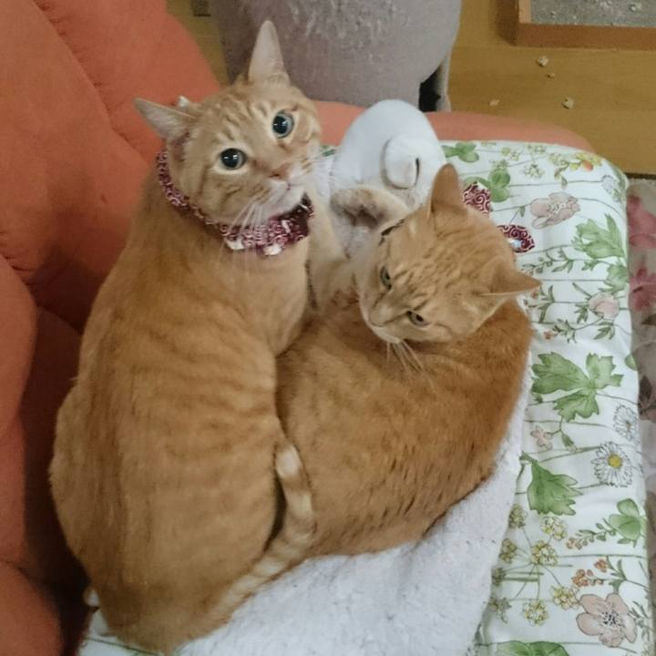 92b62f9a 82f8 4b05 a69b 02538a4f1859 1526015123385