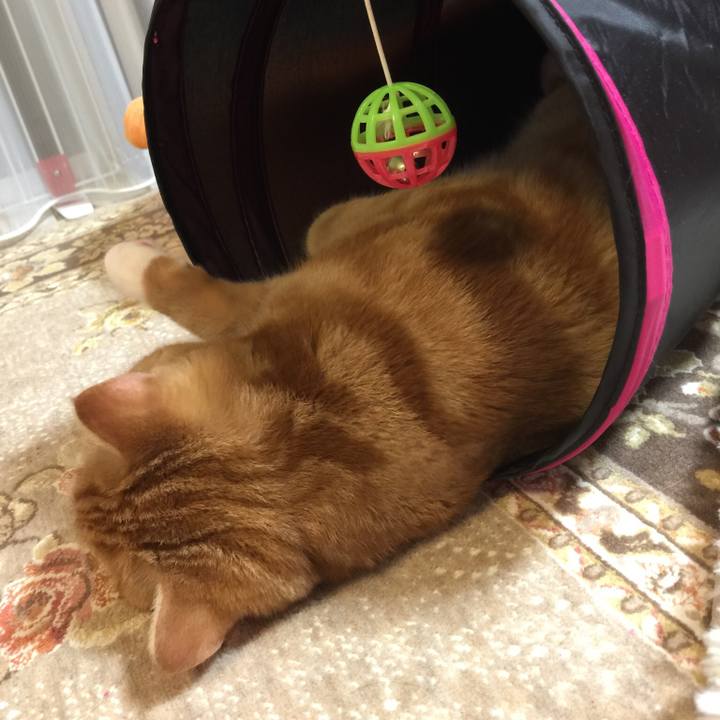 92b63c4b 3db1 4c66 8efd f4de8800ba80 1512475003680