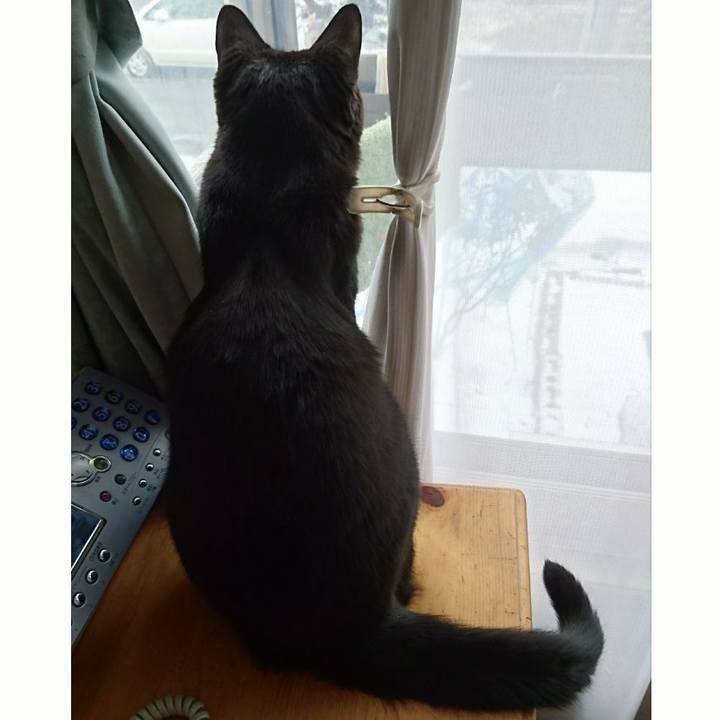 92b653d1 9dcb 4332 895a 5763ab9b3b1c 1553212446512