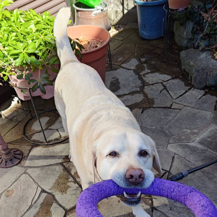 92b65cd7 8d87 451c 9446 69fc6831b3a2 1738932853148