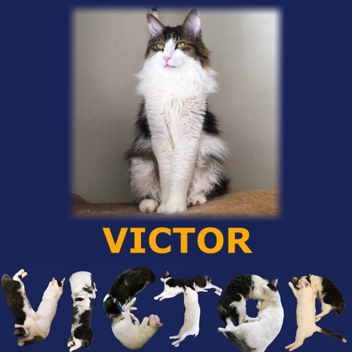 92b684f2 aed7 43e2 bb7f a5e77fb91c9d 1666651858678