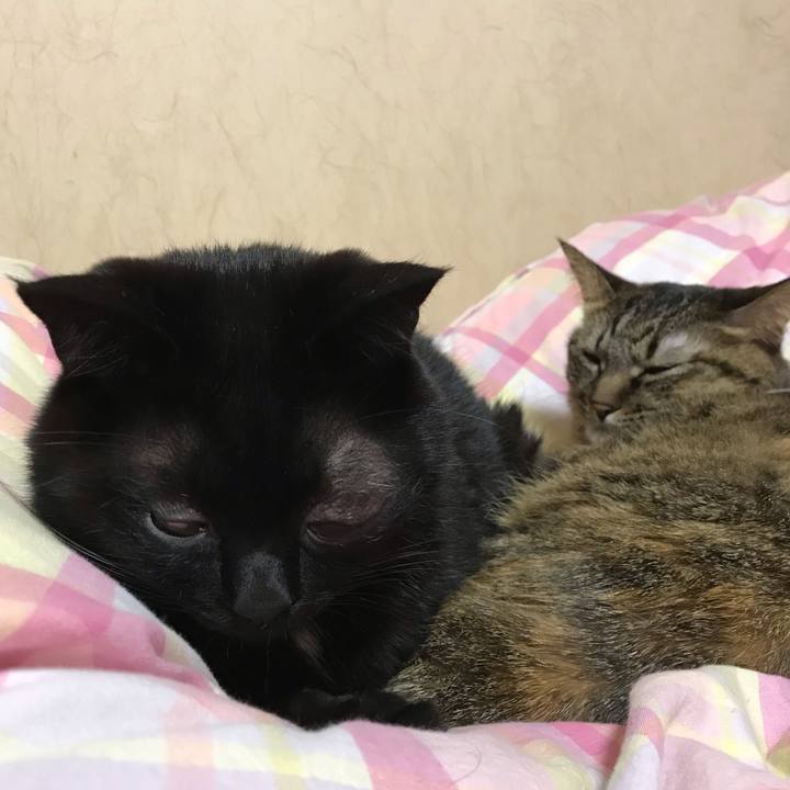 92b694e3 5653 44ce 87d7 3945a73ea04c 1547204713345