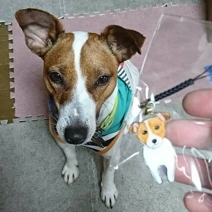 92b69915 28d3 4fdc 8750 8b931aebbb63 1555915031371