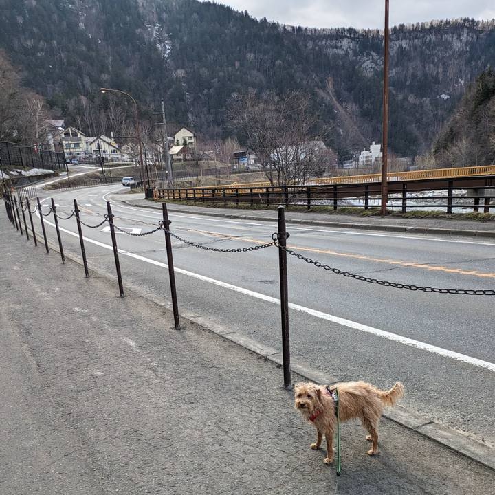 92b6b5e5 9368 46bc 80a5 e283bb8559bd 1714289739715