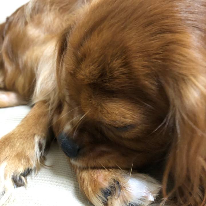 92b6f1e4 5583 495d b41b 1e88946f371c 1565302100848