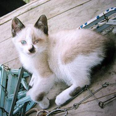 92b71fd8 7879 4fff b06d 0ca95cb6549c 1552958562993