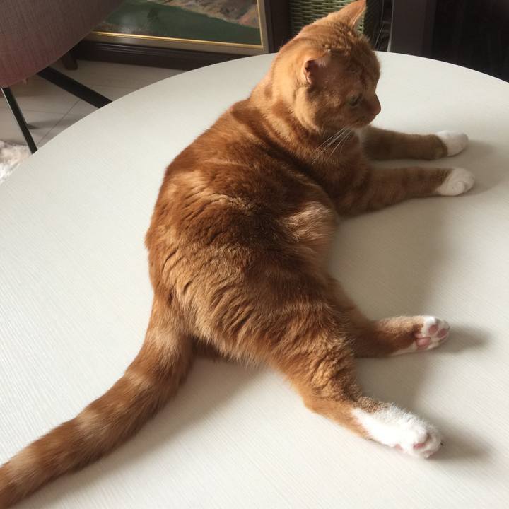 92b725d6 078e 41cb 83b9 ad74fc13c833 1587265764584