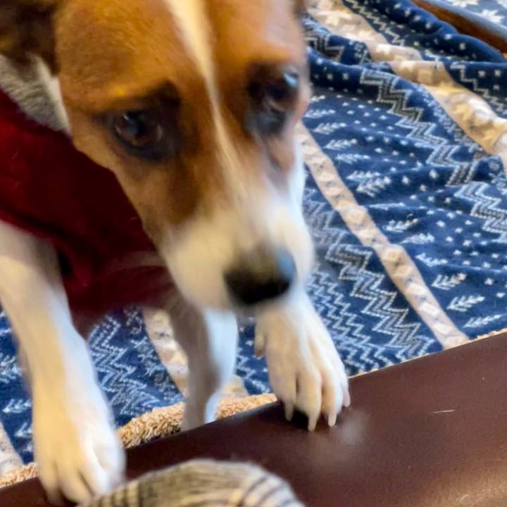 92b72ccf b22e 481a ad83 5eaff8d50a59 1645313316183