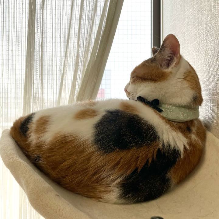 92b73e82 bd7a 43fe 970c c9af3cb76f9f 1665027613416