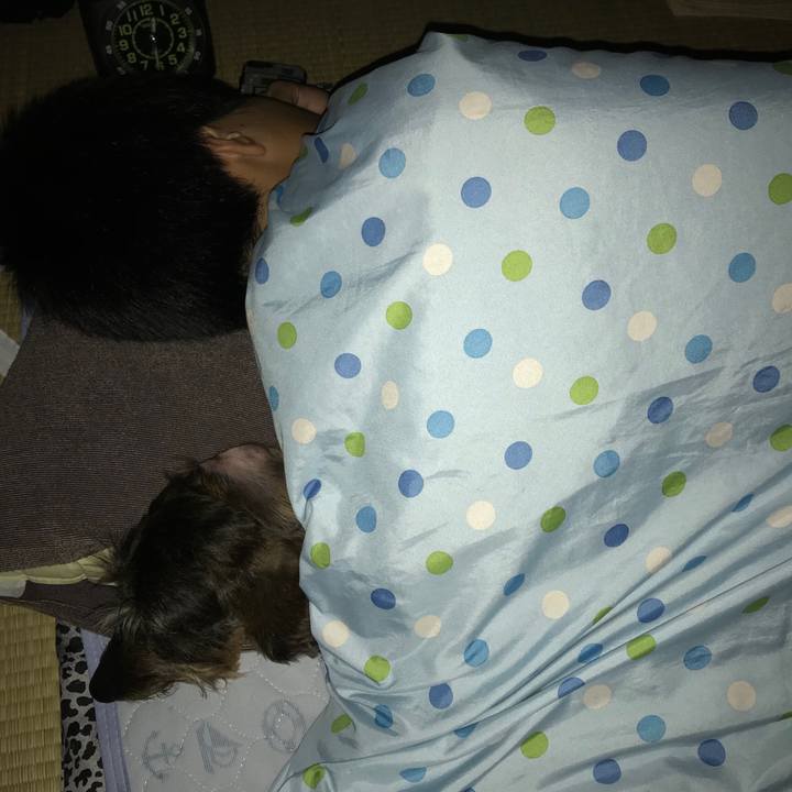 92b7440a 6fa3 4365 aefa 27cf2172efad 1531237101556