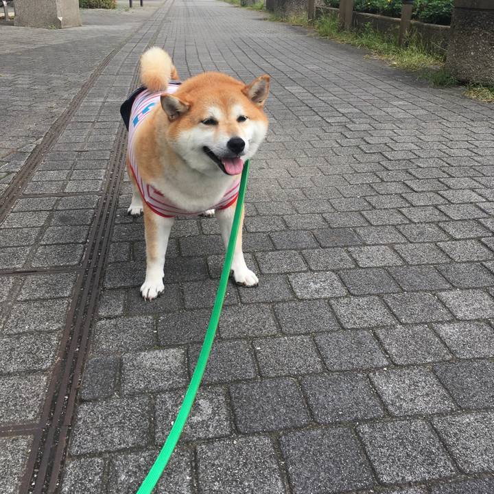 92b74d10 fb3b 4423 bb64 fea4772d870d 1601347994980