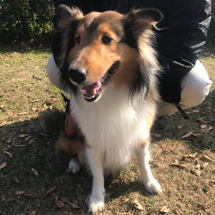 92b75b06 2be5 4f07 b184 7a2be9273398 1513474279927