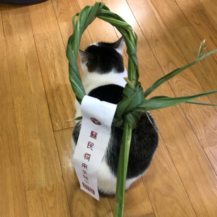 92b75f83 d5da 41ef b287 a9643b82f205 1691405768193