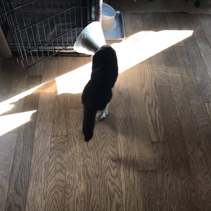 92b7bf76 e090 4d9e bdab 2e4b84f78921 1581326875946