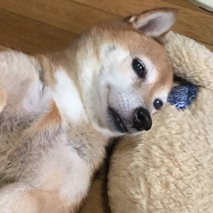 92b7d533 4fea 4f83 aacf 5ed00a7f1957 1625878732038