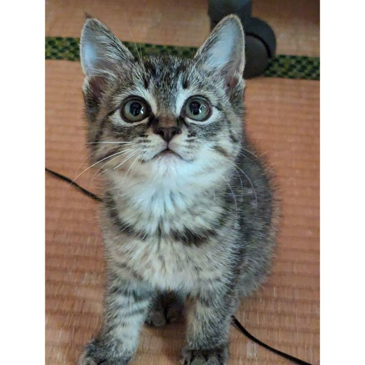 92b7eda7 9613 4746 8ffc 1a2d3cae13ff 1698120521297