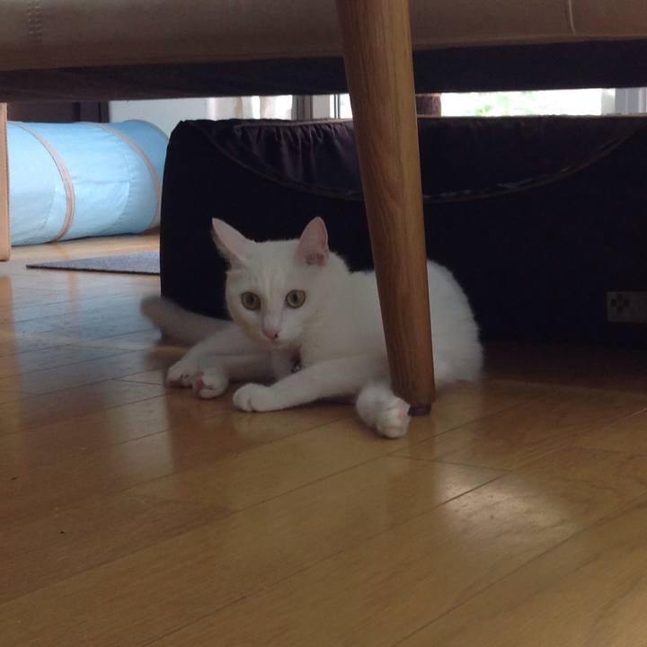 92b83fc6 ef73 4572 b4ac 105447a7293a 1629497857059