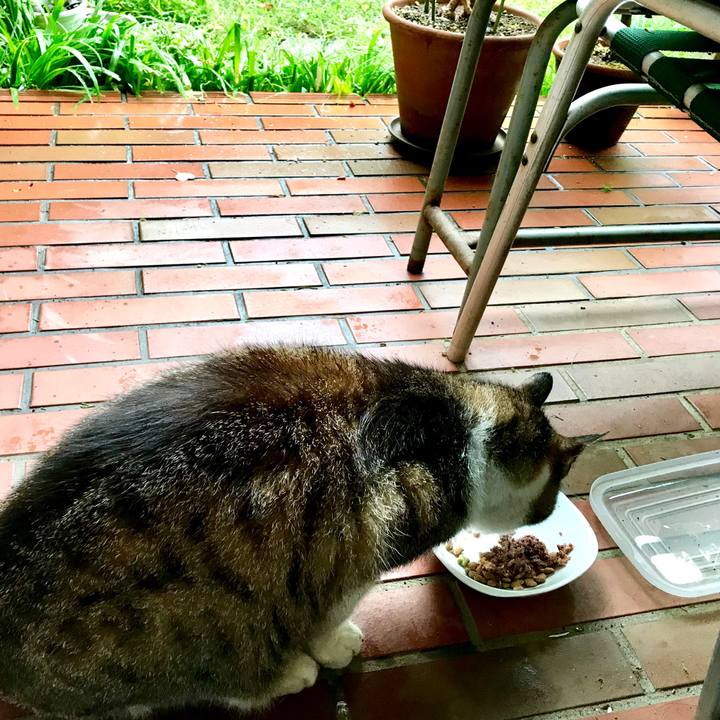 92b846fd 9387 4c44 af96 a0bf8c30bc9c 1529634172139