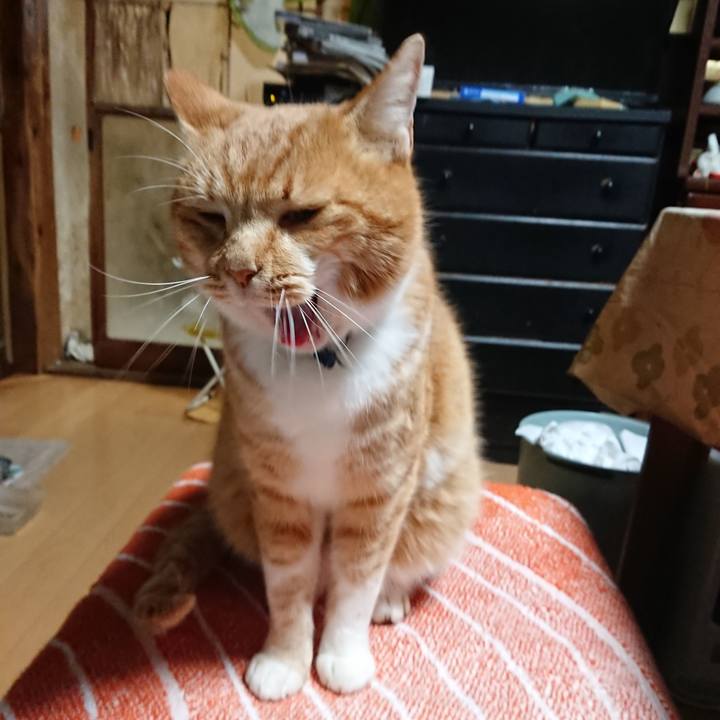 92b8f0e7 bc82 48f0 aa0f 6e90ee44845d 1608581314787