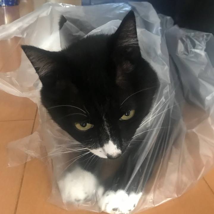 92b8f67f e7cf 46d1 ae4e 5eeacbc76475 1664767815229