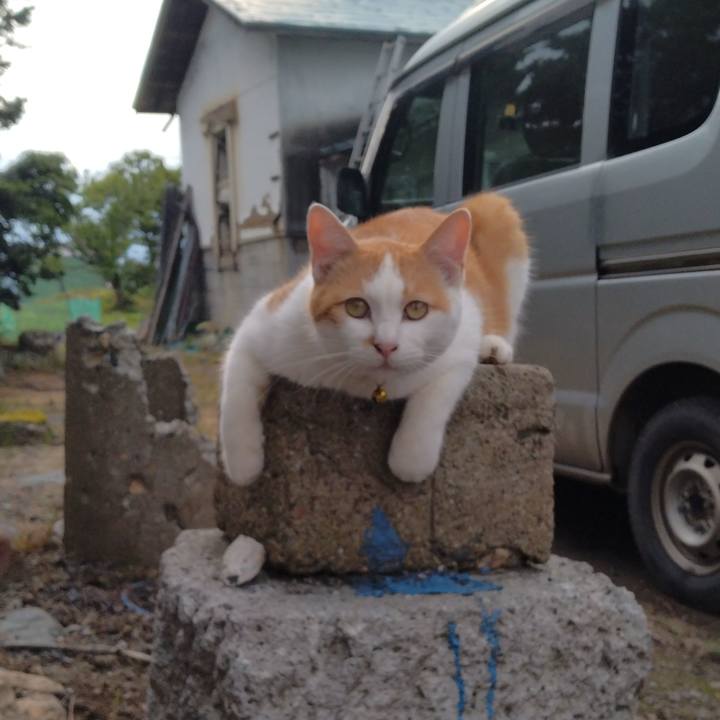 92b8fc9e 2dcd 4112 b240 b4fbcd19982f 1749630964622