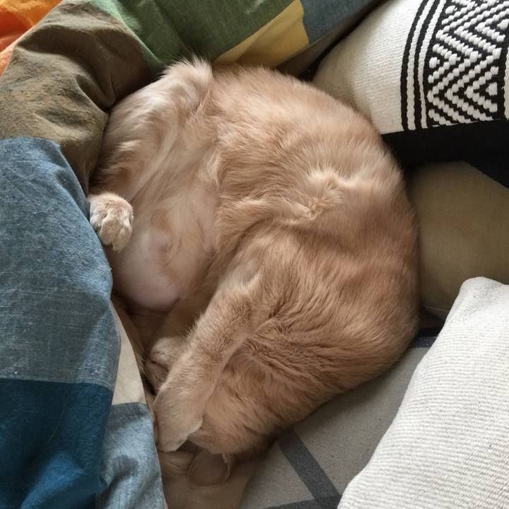 92b905d1 1159 46c5 b118 e01516d7e2a1 1588305845802