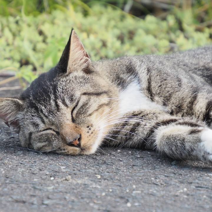 92b92a7a 82de 416f a596 afb2c8625ccd 1598179908187