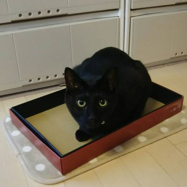 92b946bb e150 4725 9ca4 82055b5c31c5 1545005838975