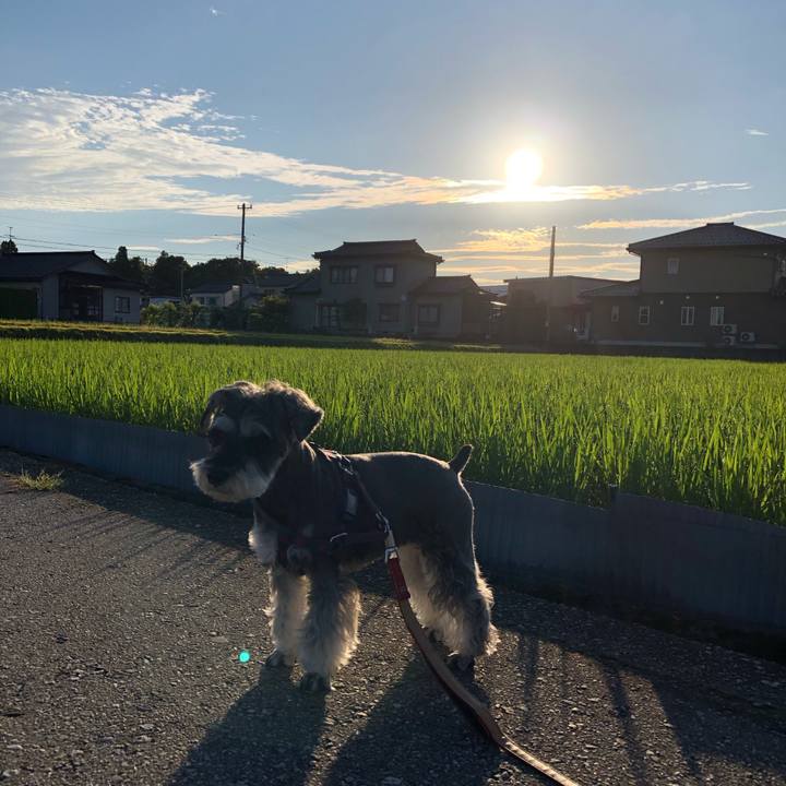 92b95130 54db 480d ae85 3f3f66569cf4 1656103971186