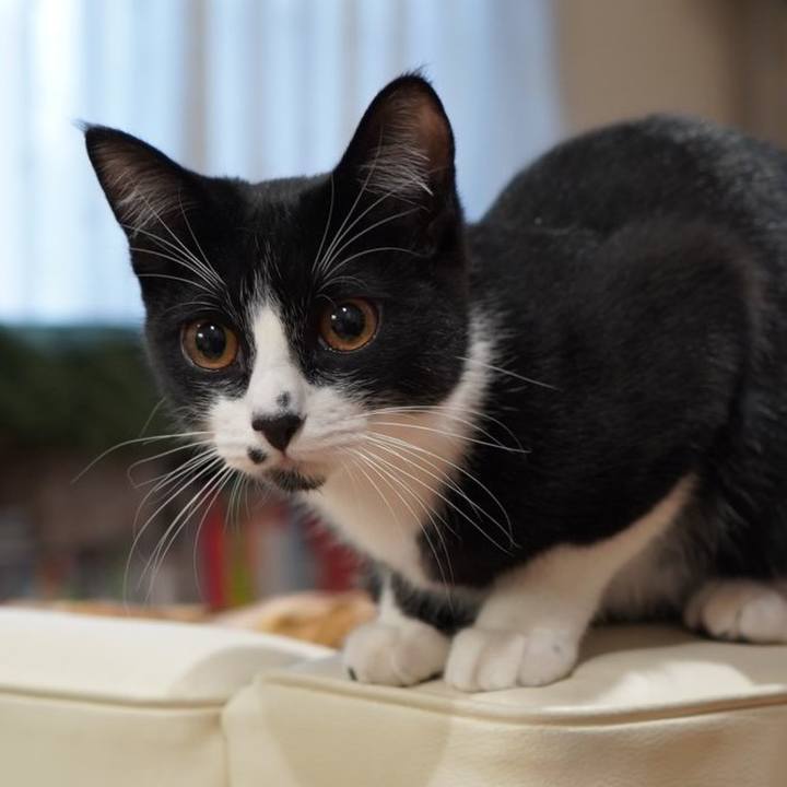 92b96328 549e 4aa3 9550 c5bdd2a6f453 1583362247154