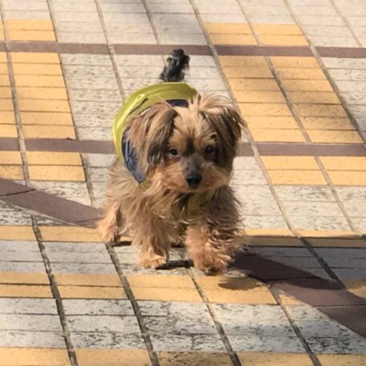 92b98a23 4a35 49a3 ba99 83a343683104 1519178819391