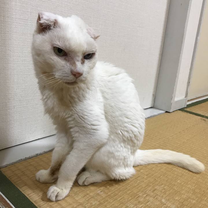 92b99938 6de7 432d be8e cb9c237ccf6c 1531370323139